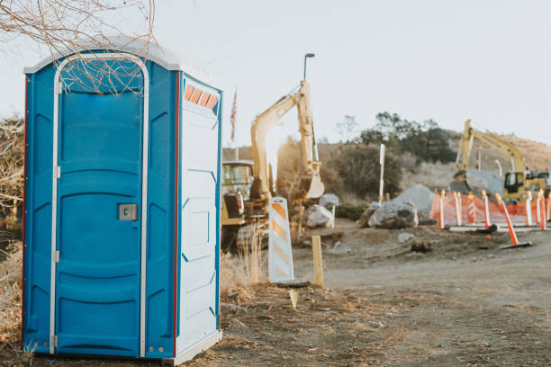 Best Local porta potty services  in Viola, NY